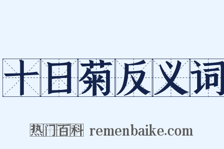 十日菊反义词是什么意思的图片